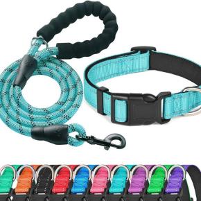 Reflective Dog Collar Padded