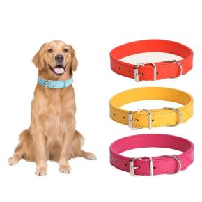 PU Dog Collar