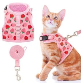 Fashionable Mesh Cat Harness