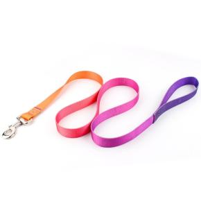 Colorful Dog Leash