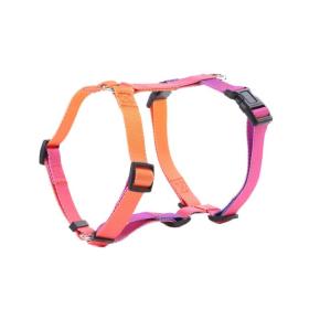 Colorful Dog Harness