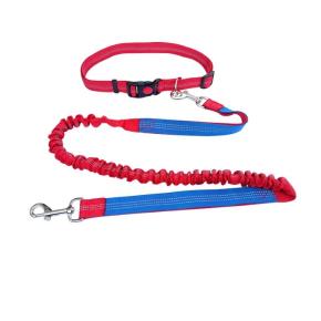 Dog Leash with 2 Handles