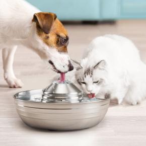 2L Automatic Pet Water Fountain