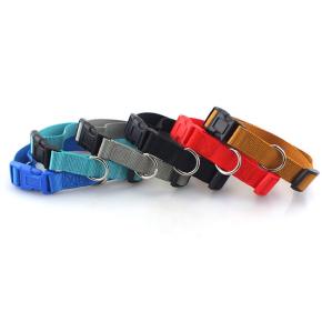 Plain Nylon Dog Collar